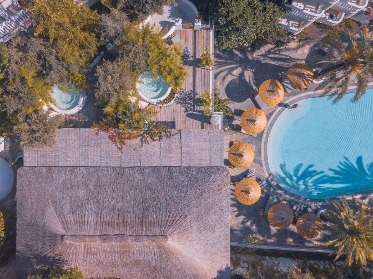 Otel Flamingo & - Pet Friendly 3*