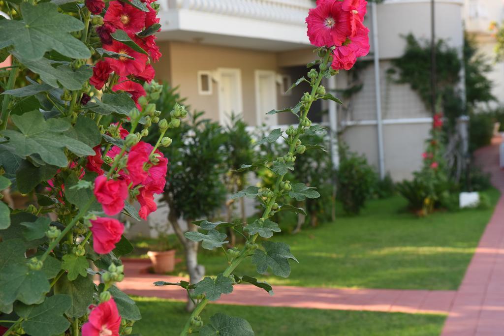 Turquoise Otel