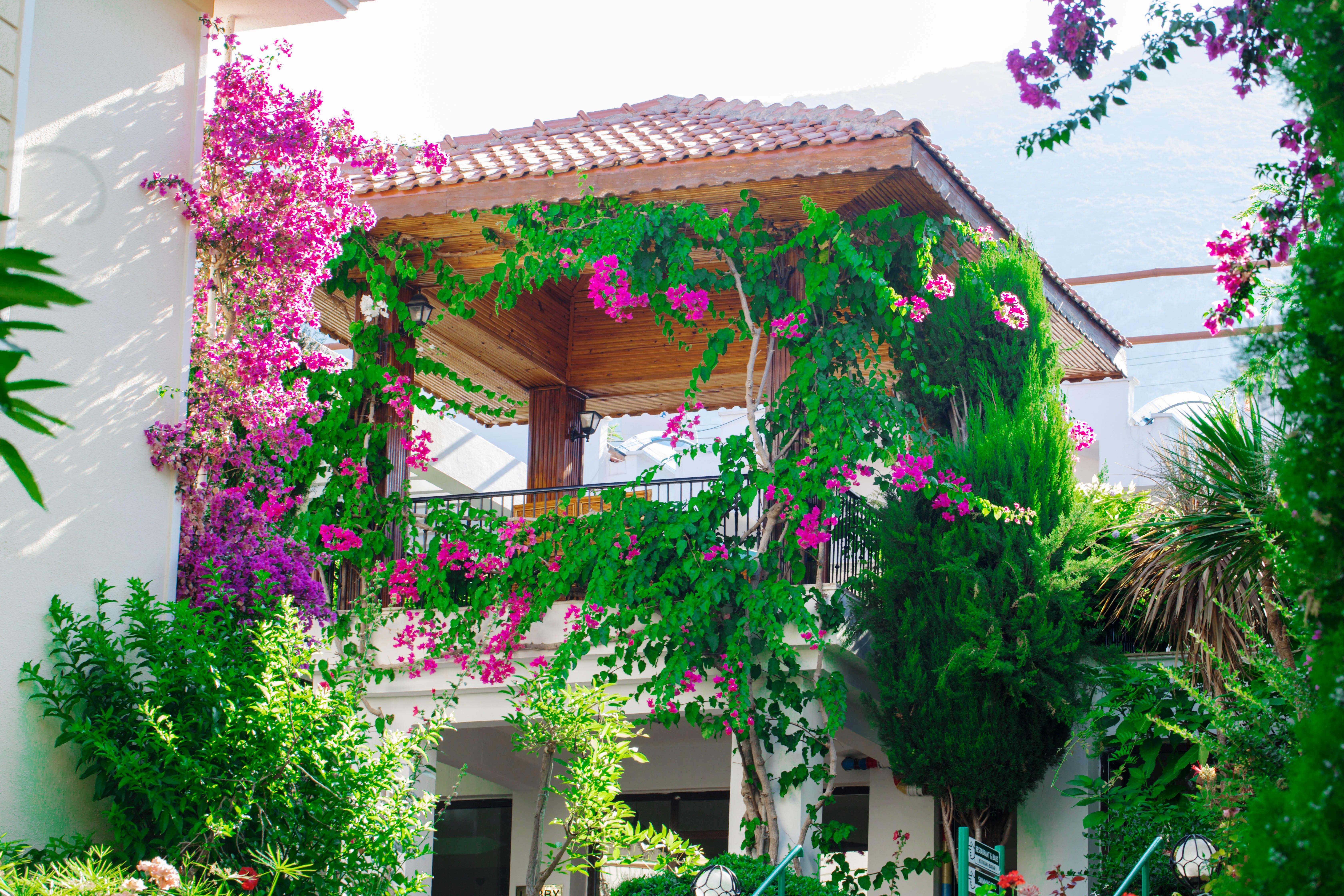 Otel Yel 3*
