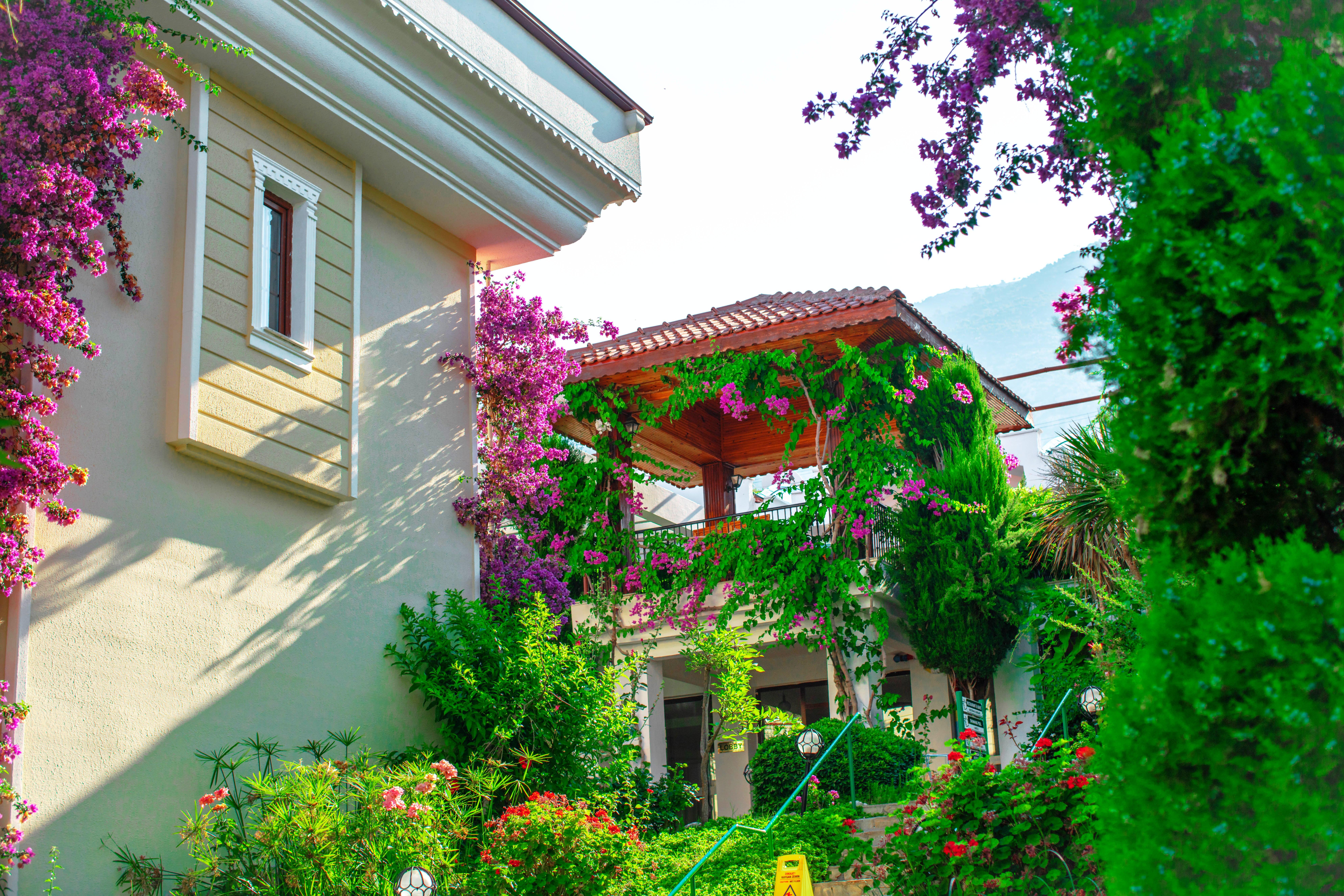 Yel 3* Ölüdeniz