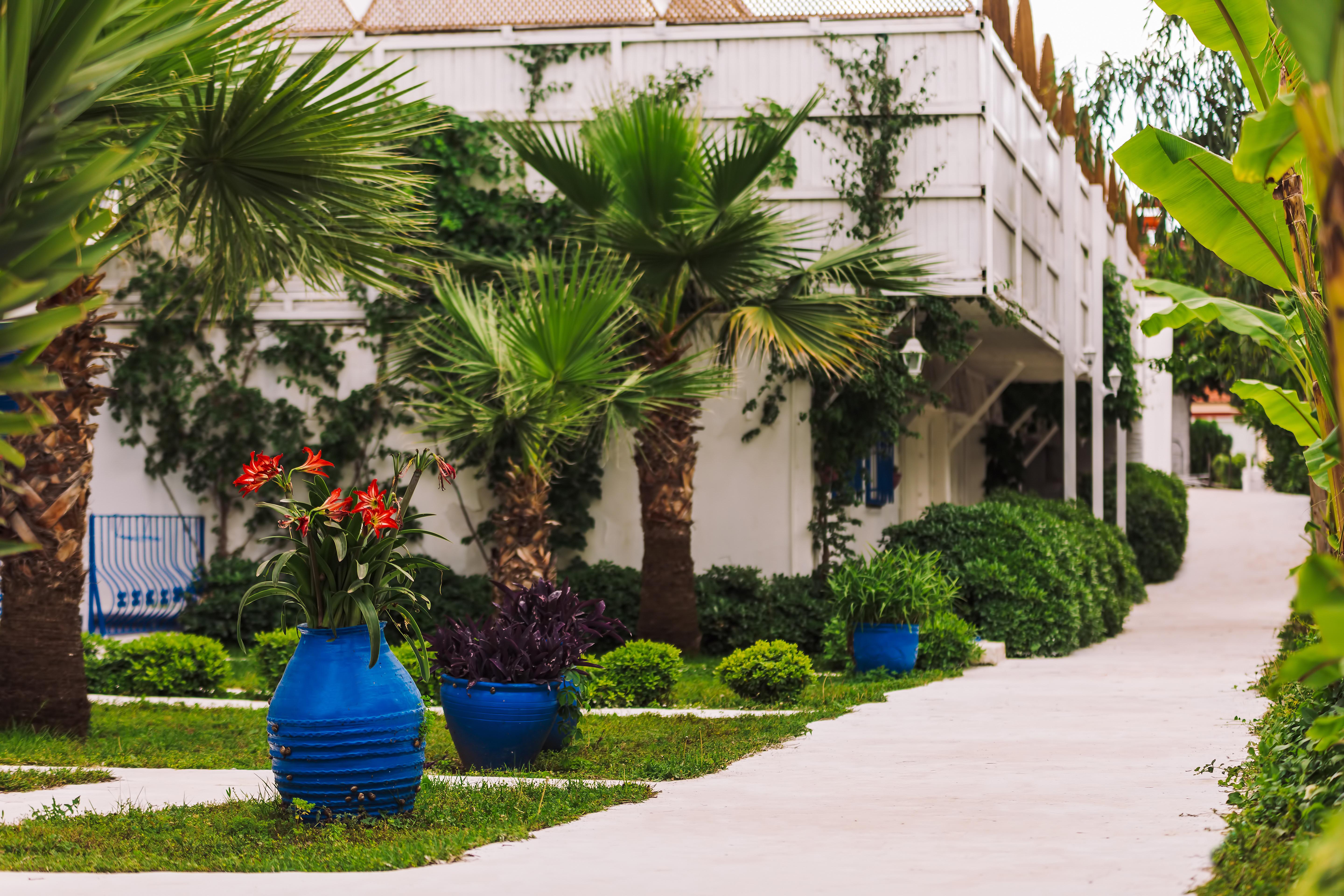 Monta Hotel&villas Hotel