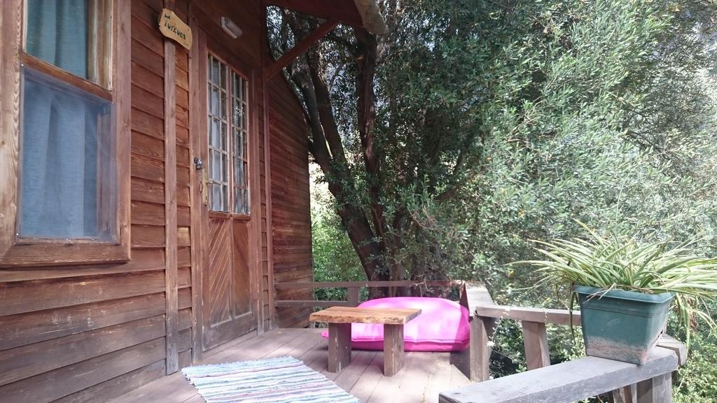 Yerdeniz Kamp