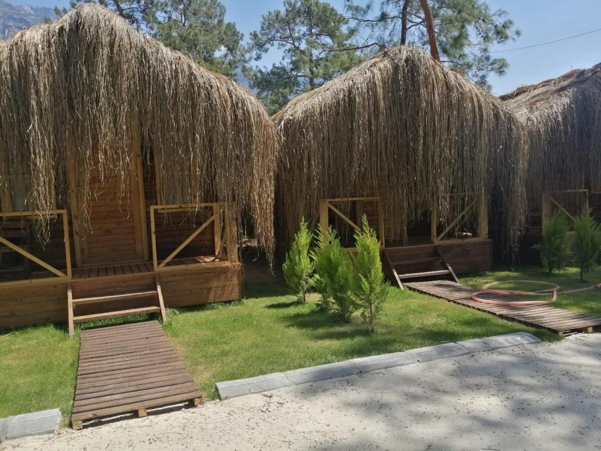 Pine & Luxury Concept Otel