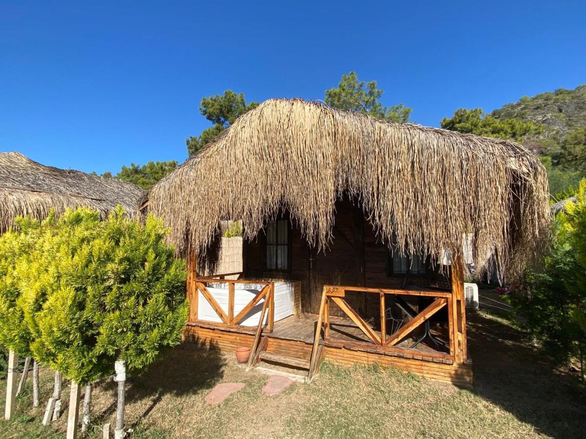 Pine & Luxury Concept Ölüdeniz