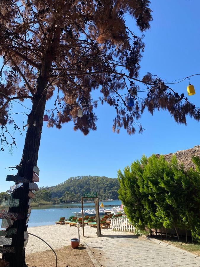 Pine & Luxury Concept * Ölüdeniz