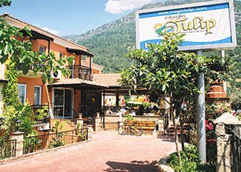 Magic Tulip 3* Ölüdeniz