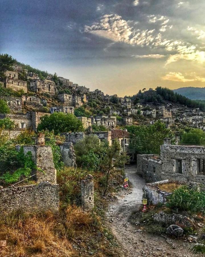 Forest Village