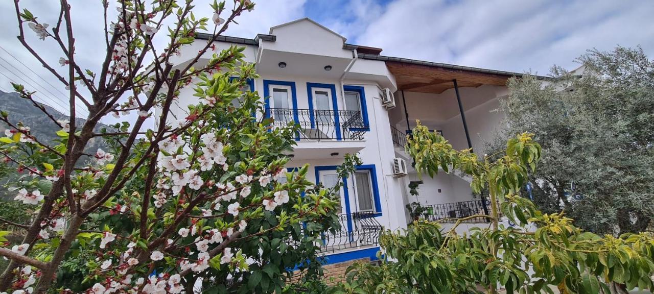 California Aparthotel 3*