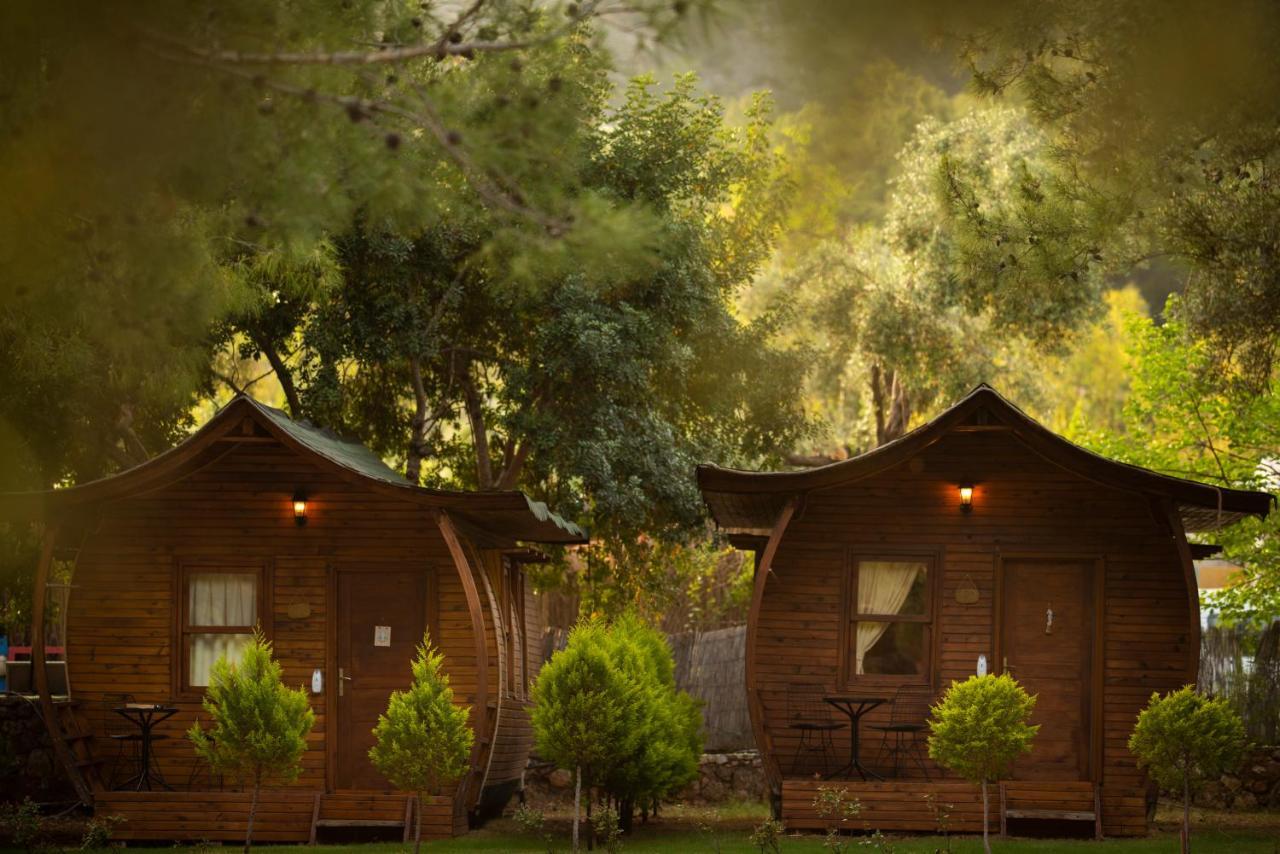 Pine & Luxury Concept * Ölüdeniz
