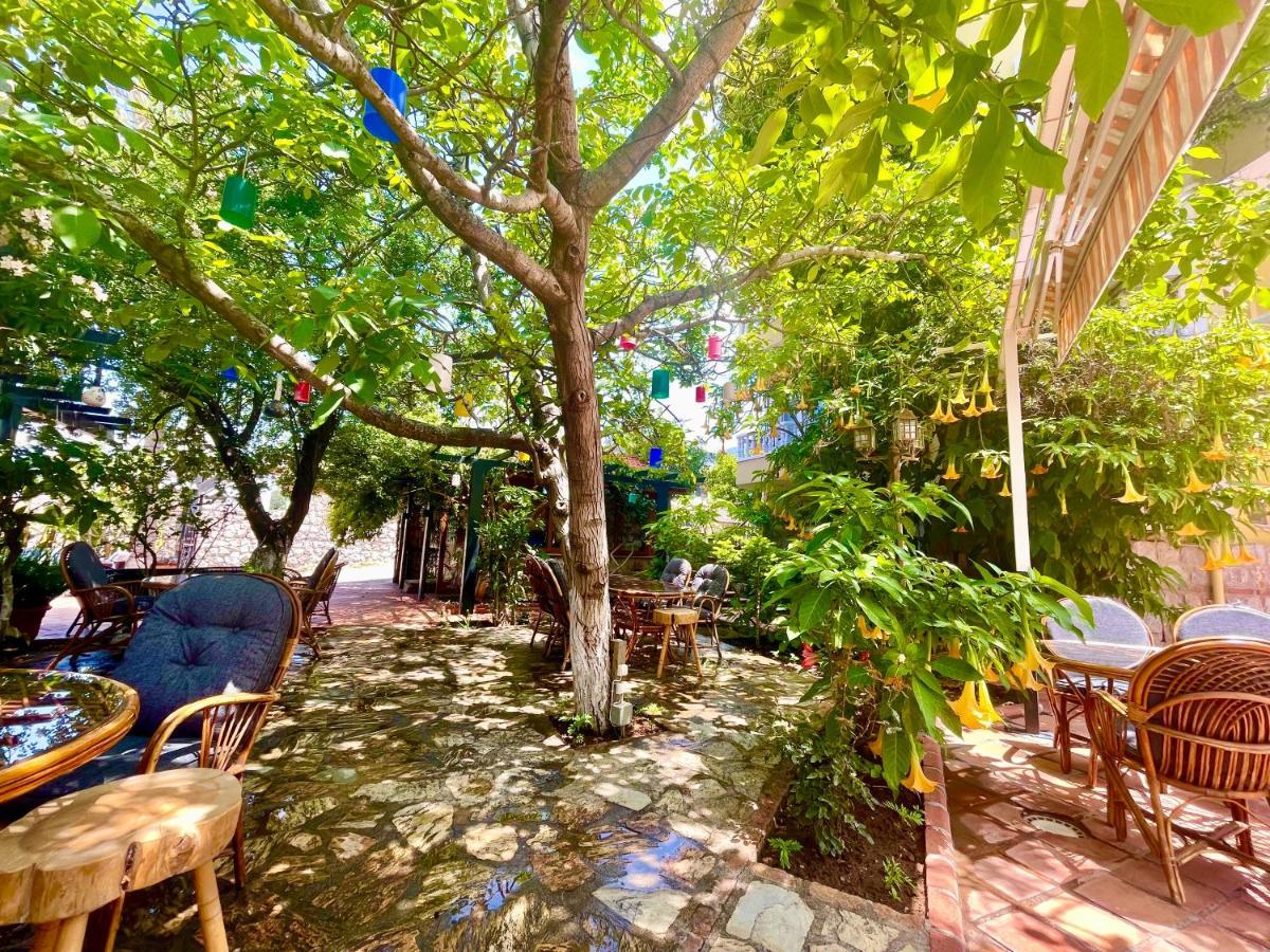 Appartement Mountain Valley *