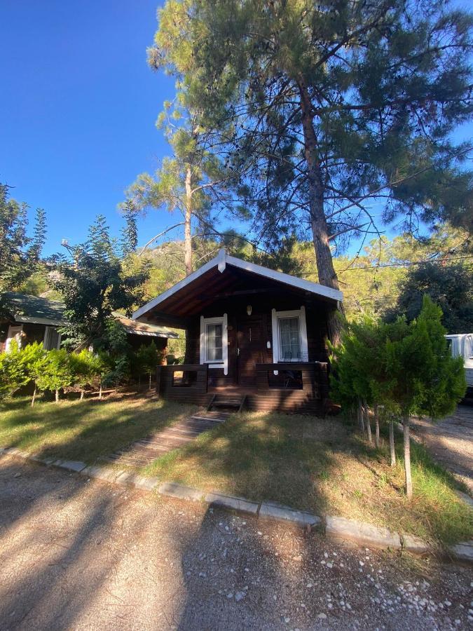 Pine & Luxury Concept Oludeniz