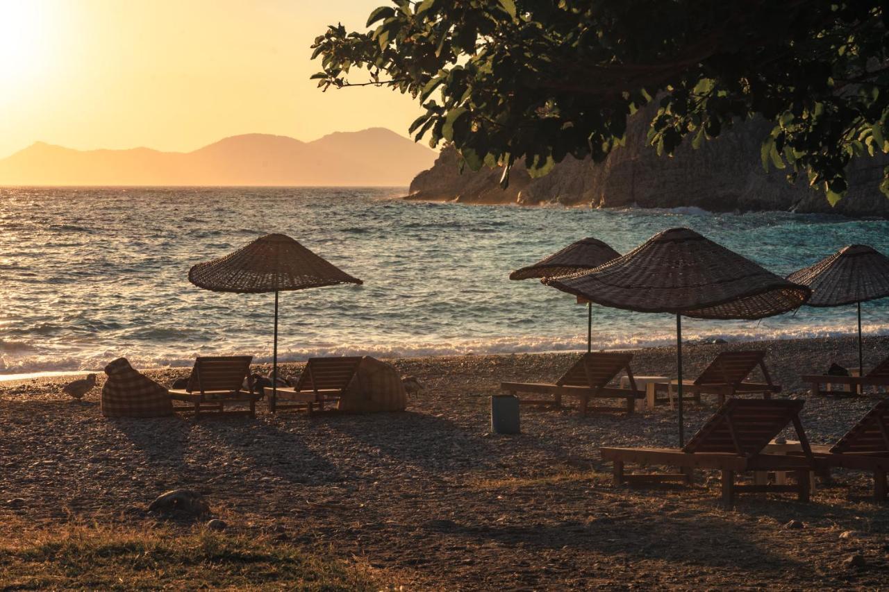 Butterfly Valley Glamping *