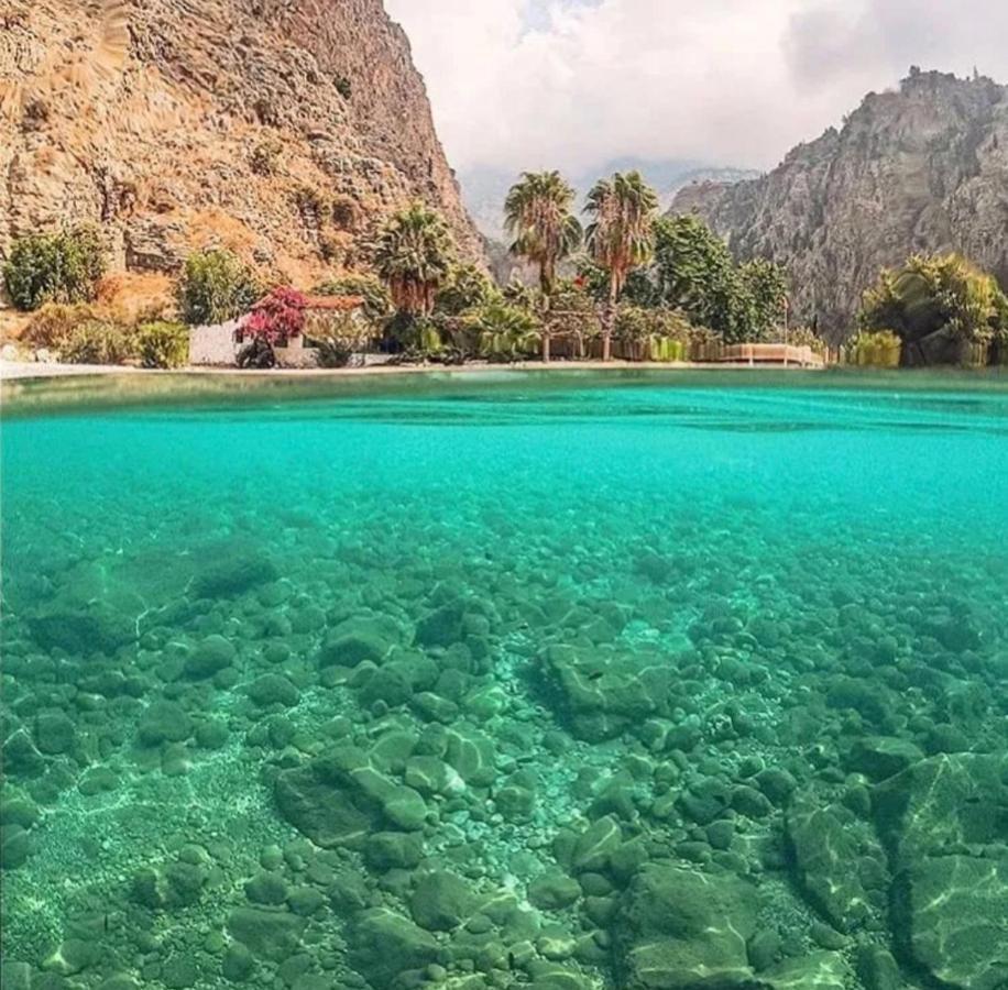 Butterfly Valley Glamping Luxury tent *