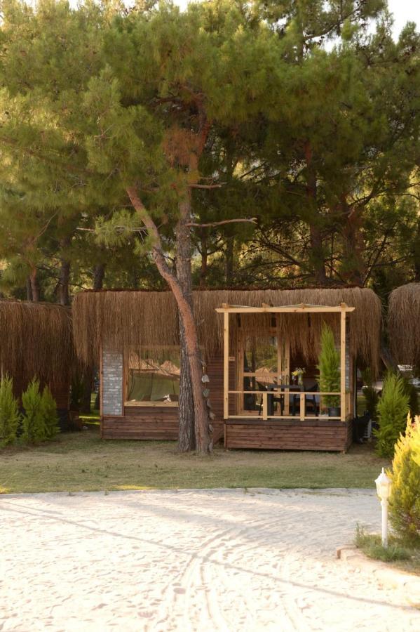 Otel Pine & Luxury Concept *
