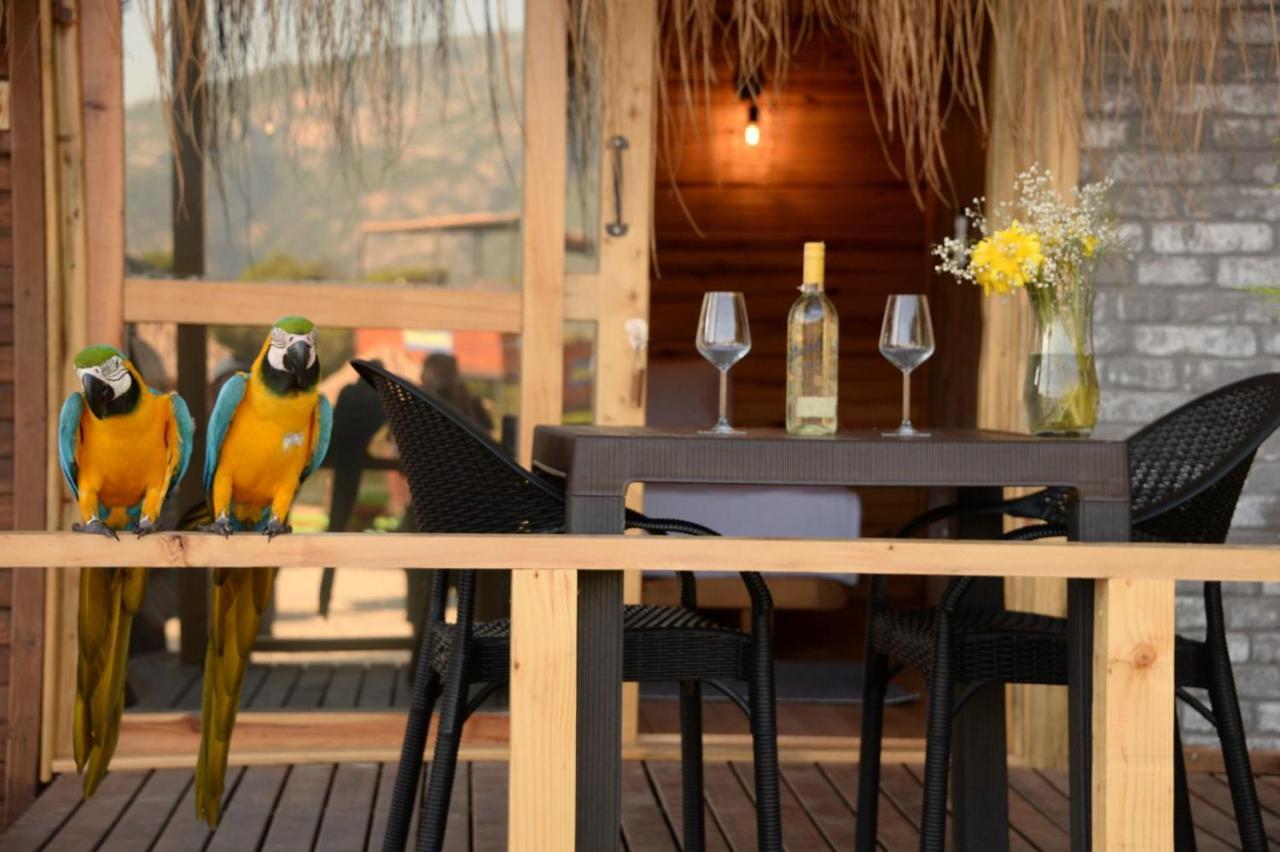 Pine & Luxury Concept Otel