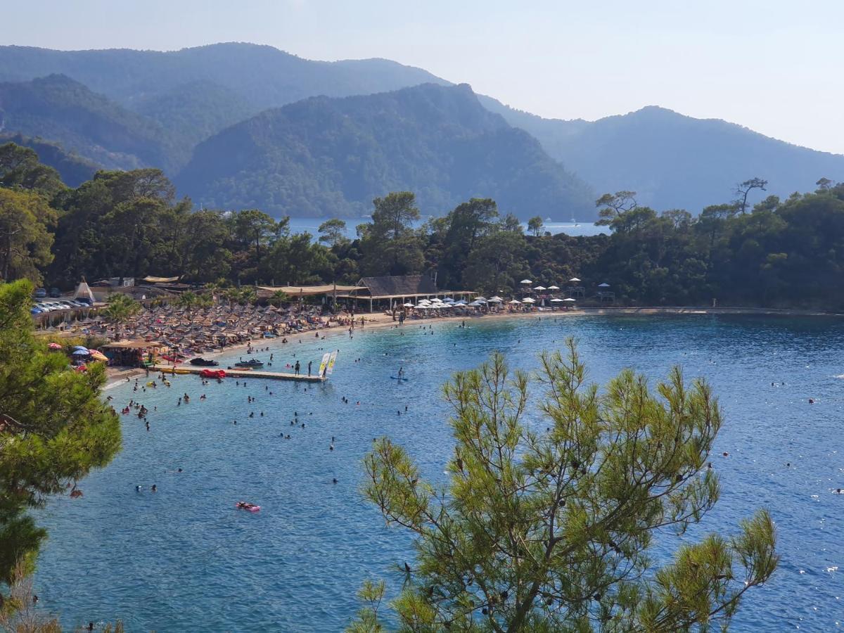 Stunning In With Seaview And Pool Apartment