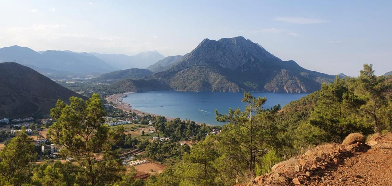 Stunning In With Seaview And Pool Apartment Oludeniz