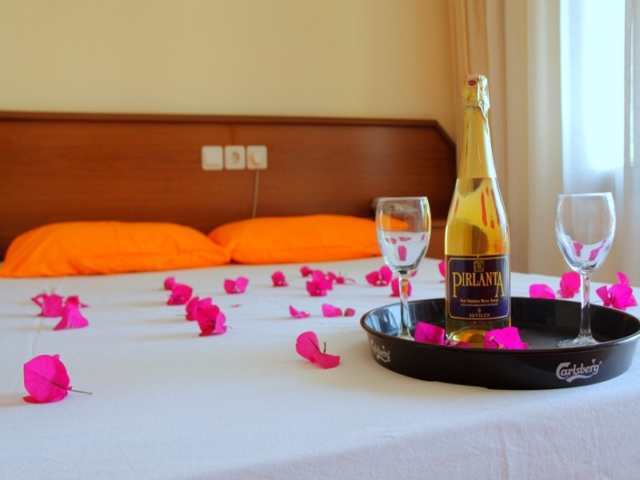 Hotel Magic Tulip