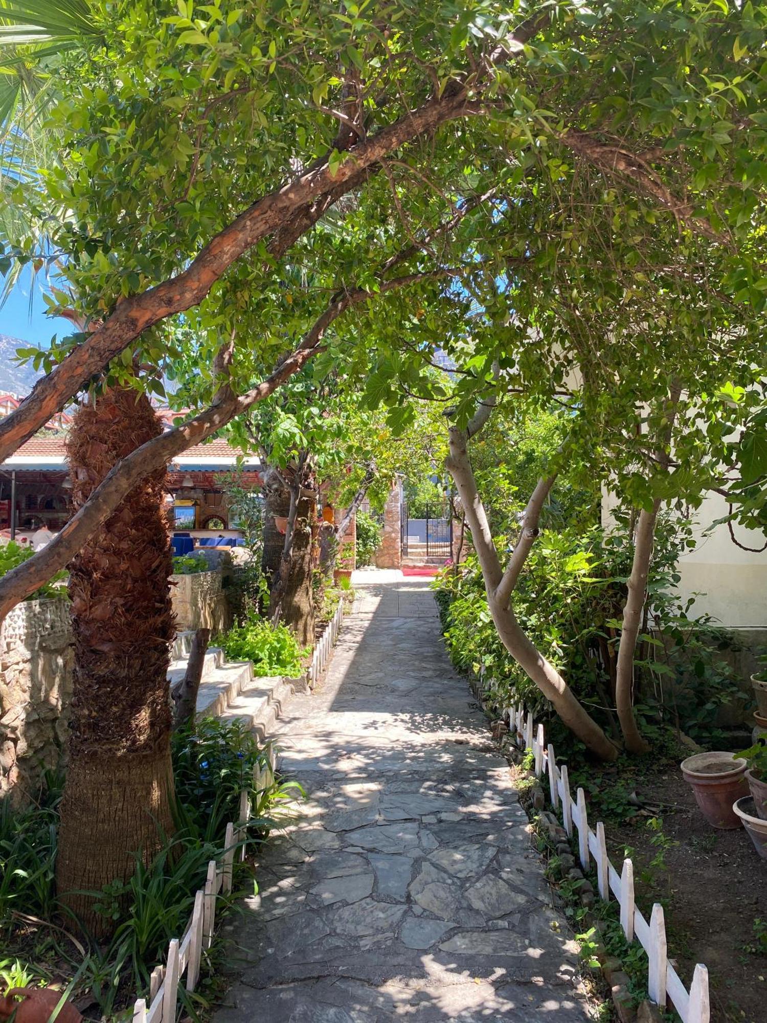 Unlu 2* Oludeniz