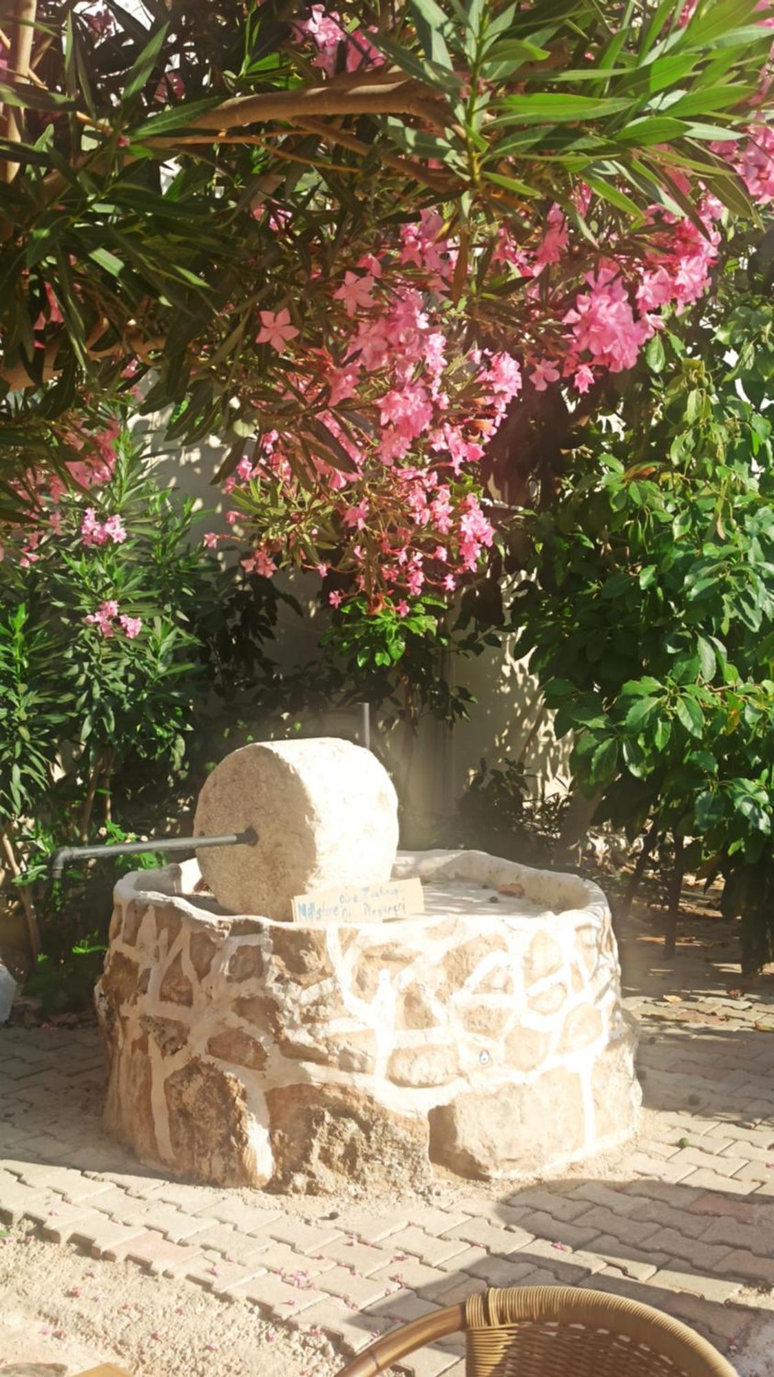 Cc's Butik 2* Ölüdeniz