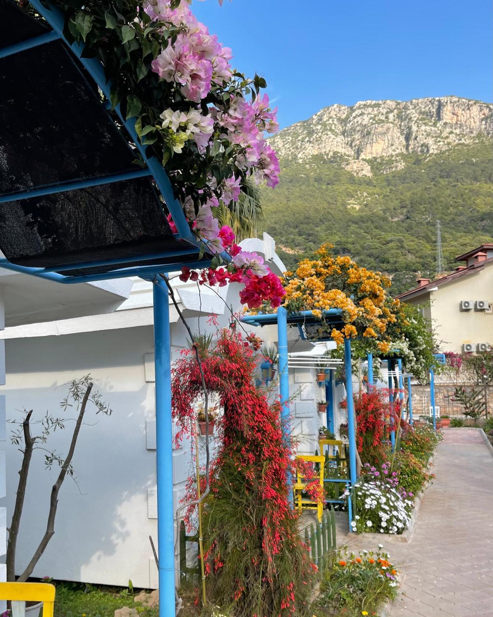 Lodge Sunmed Oludeniz