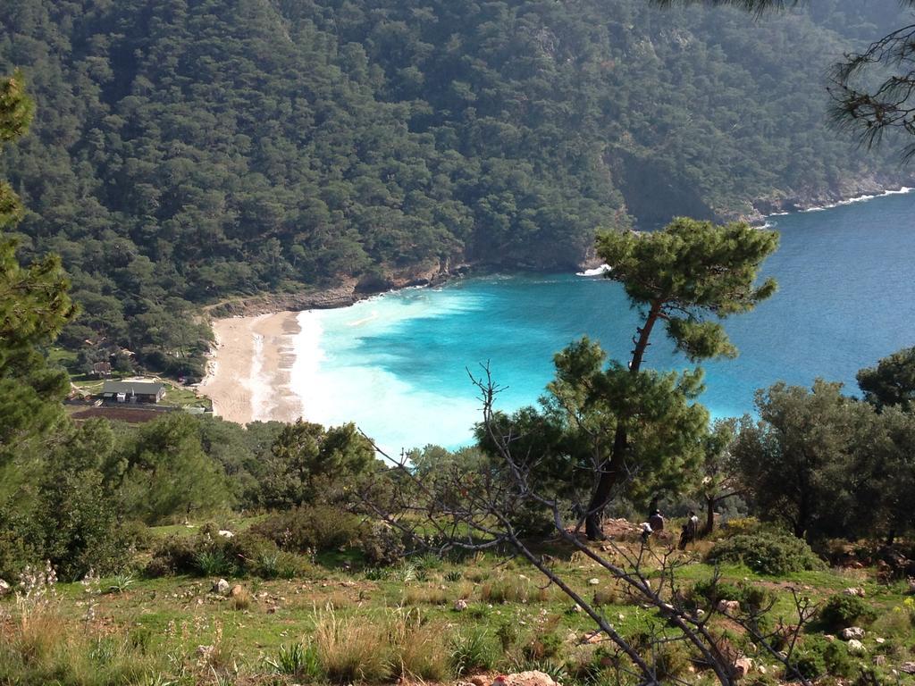 Otel Kabak Armes Faralya