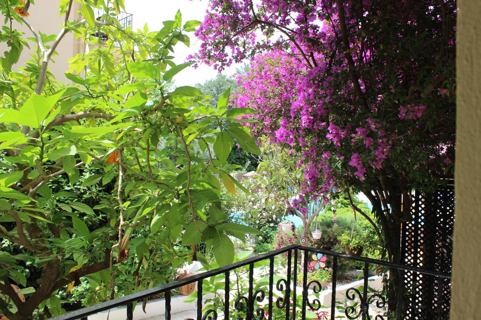 Hotel Tunacan Ölüdeniz