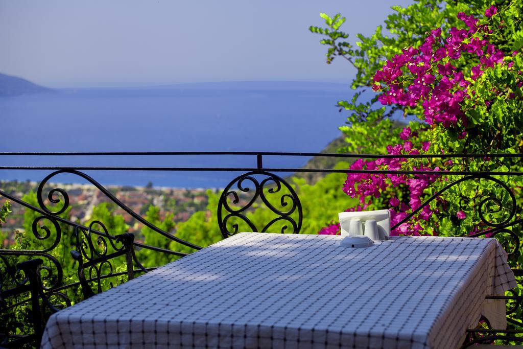 Paradise Garden