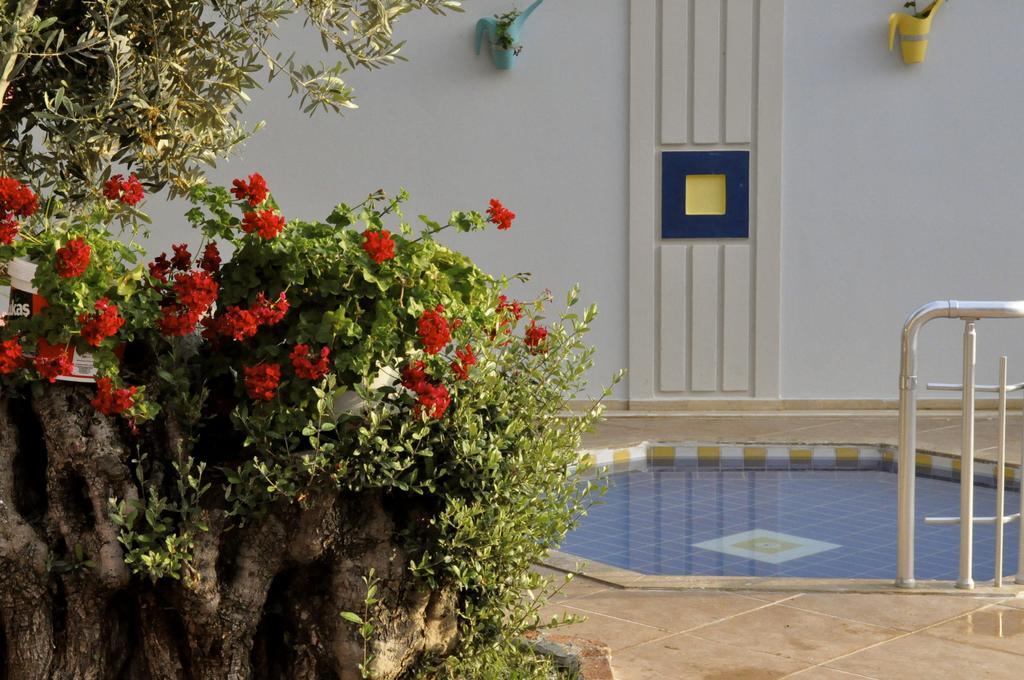 Hotel Magic Tulip Ölüdeniz