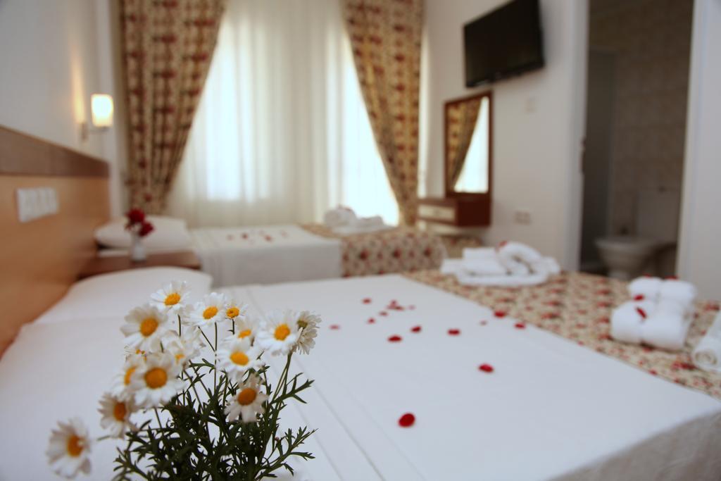 Iksirci Baba 5*