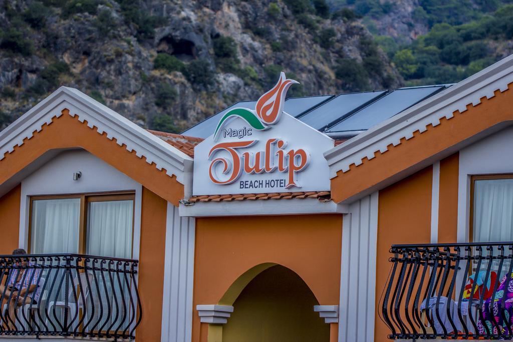 Hotel Magic Tulip