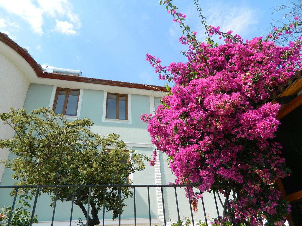 Guest house Pine Forest