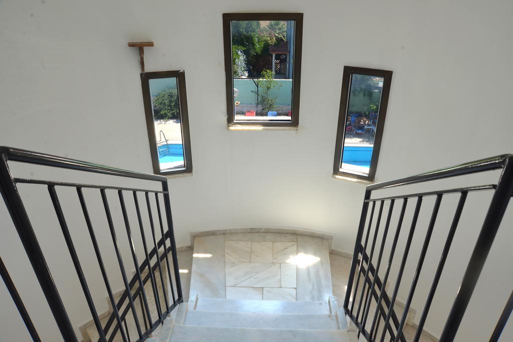 Guest house Pine Forest *