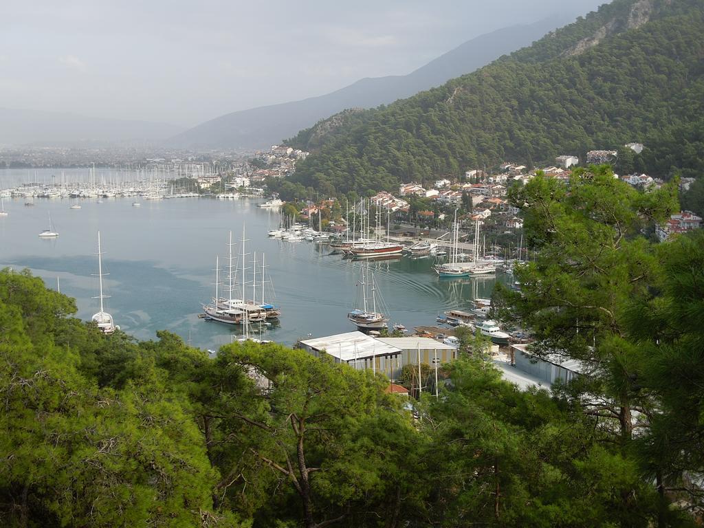 Guest house Pine Forest Oludeniz
