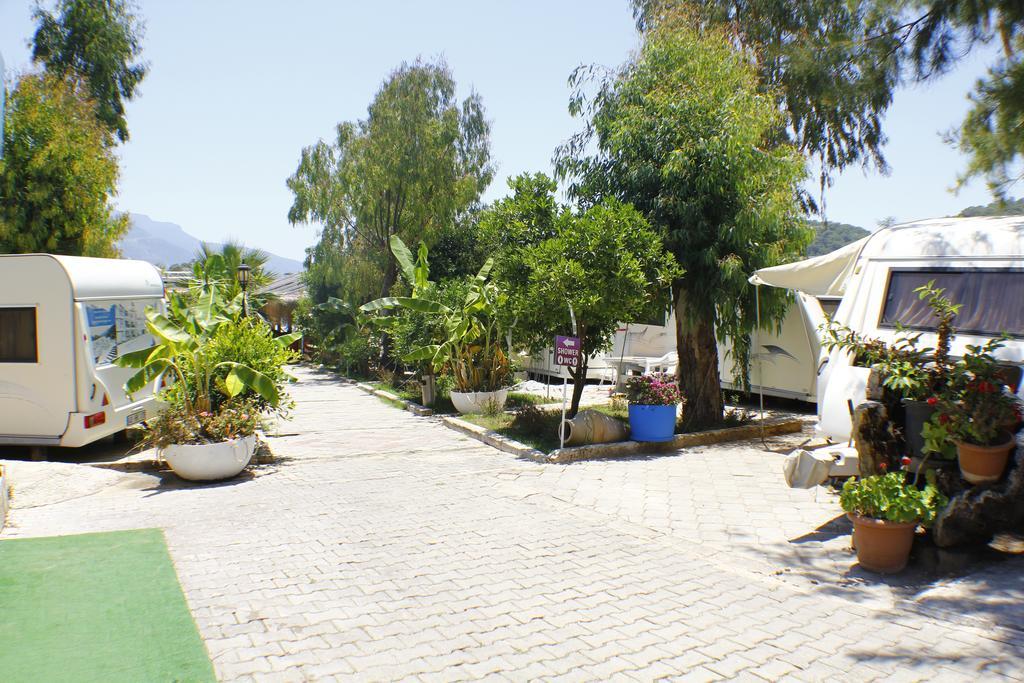 Kamp alanı Golden Club & Caravan Holidays