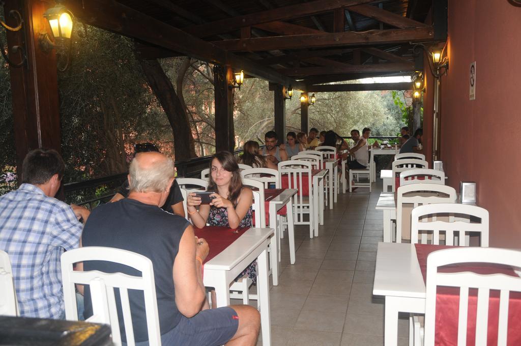Hotel Katre 4*