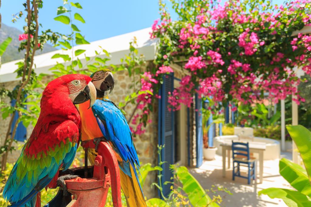 Hotel Flamingo & - Pet Friendly 3*