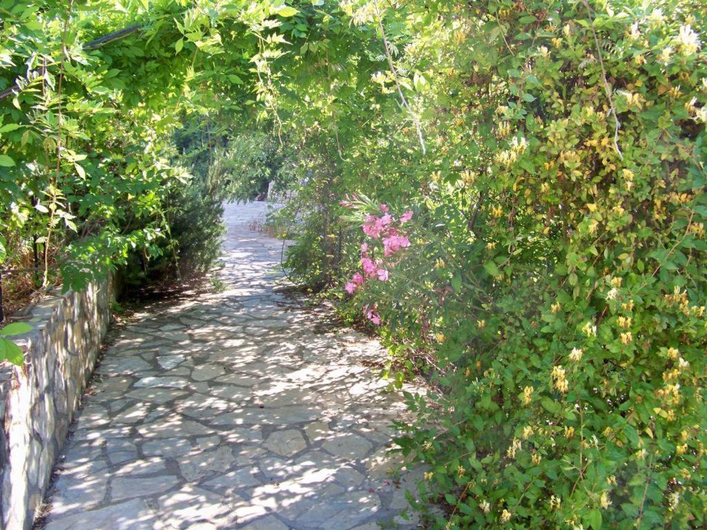 Paradise Garden *