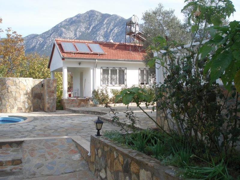 Vakantiehuis Paradise Garden