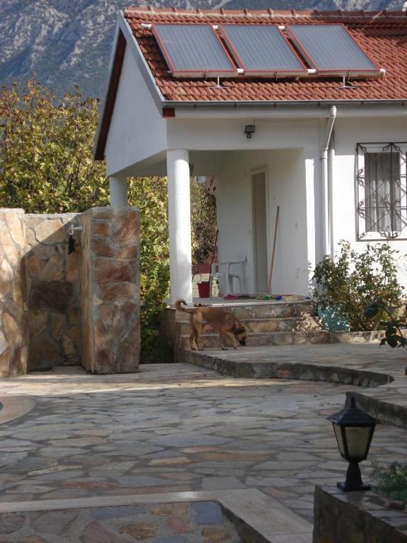 Paradise Garden Ölüdeniz