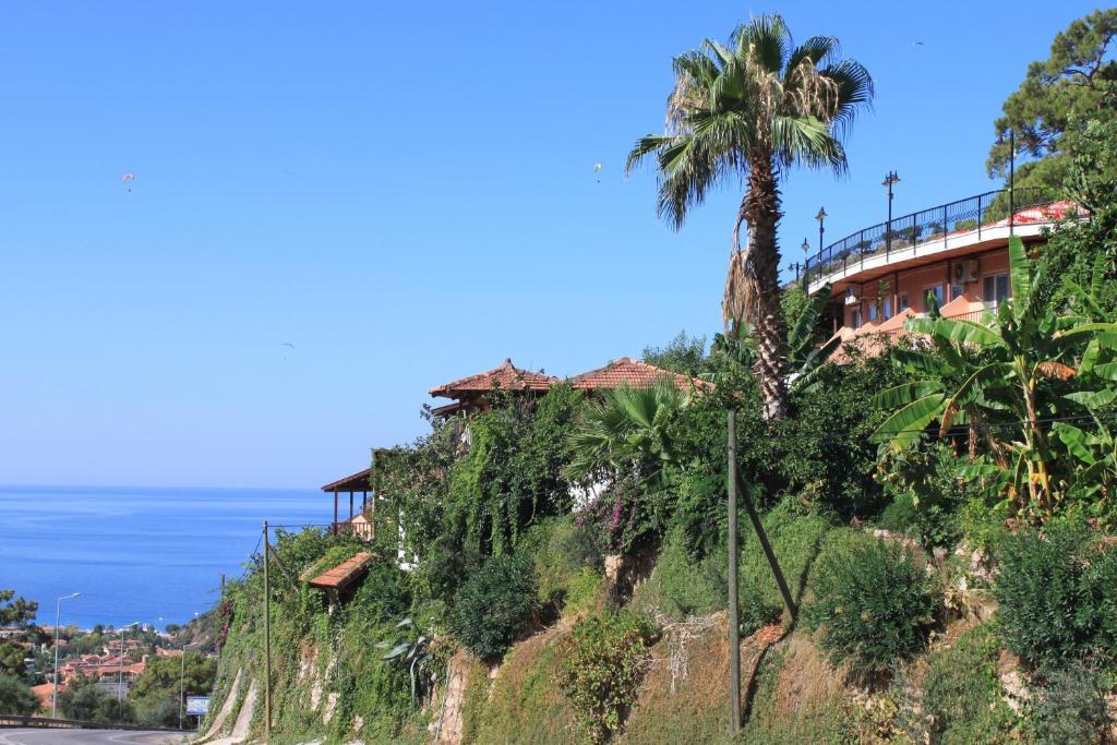 Aygul Hotel Ölüdeniz