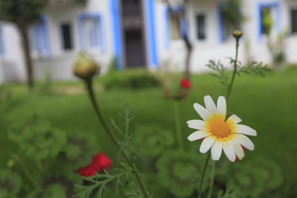Otel Akdeniz