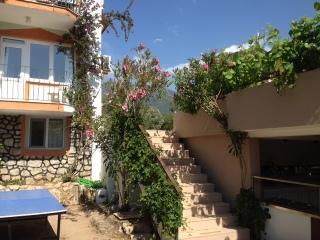 Our Dream Hotel