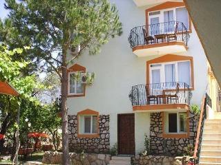 Our Dream Hotel *