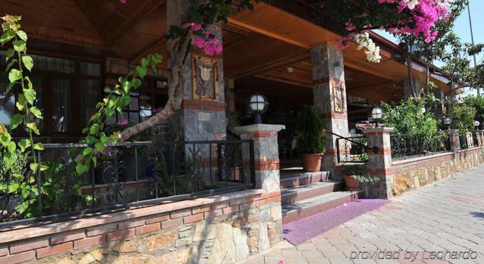 Hotel Magic Tulip 3*