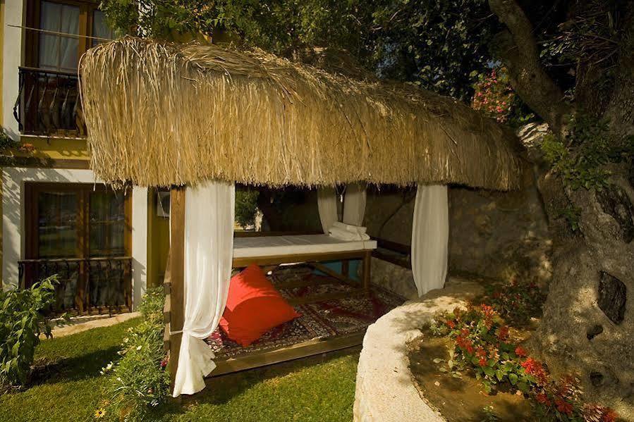 The Olive Tree (adults Only) Oludeniz