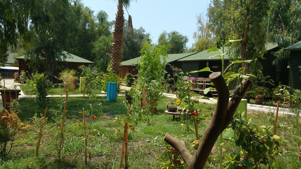 Hotel Oba Beach Oludeniz