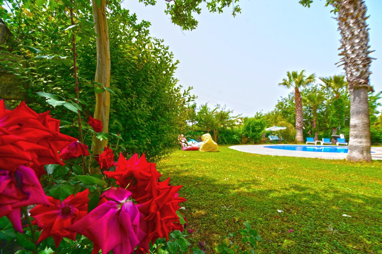 Elma Villa