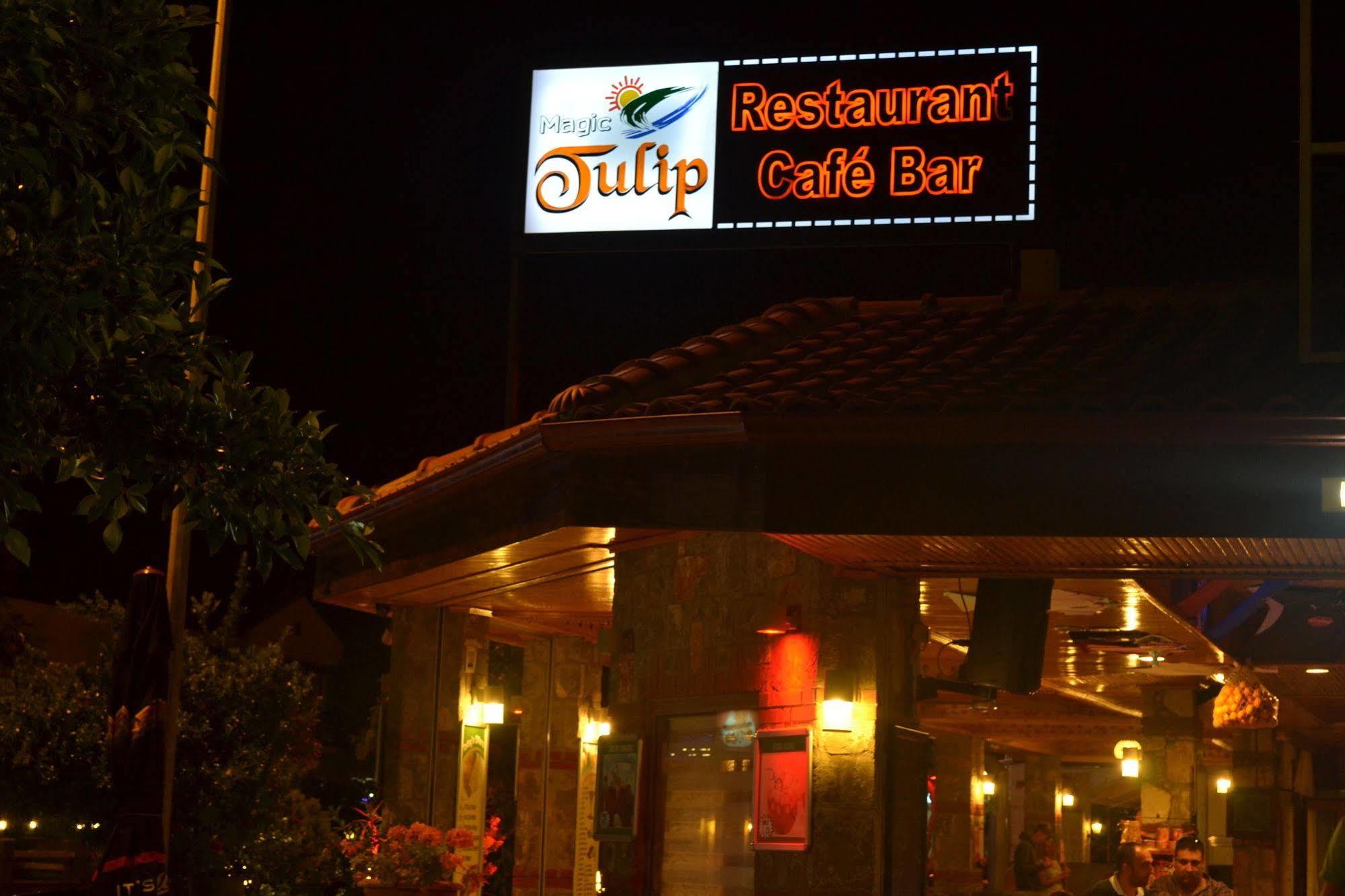 Magic Tulip 3*