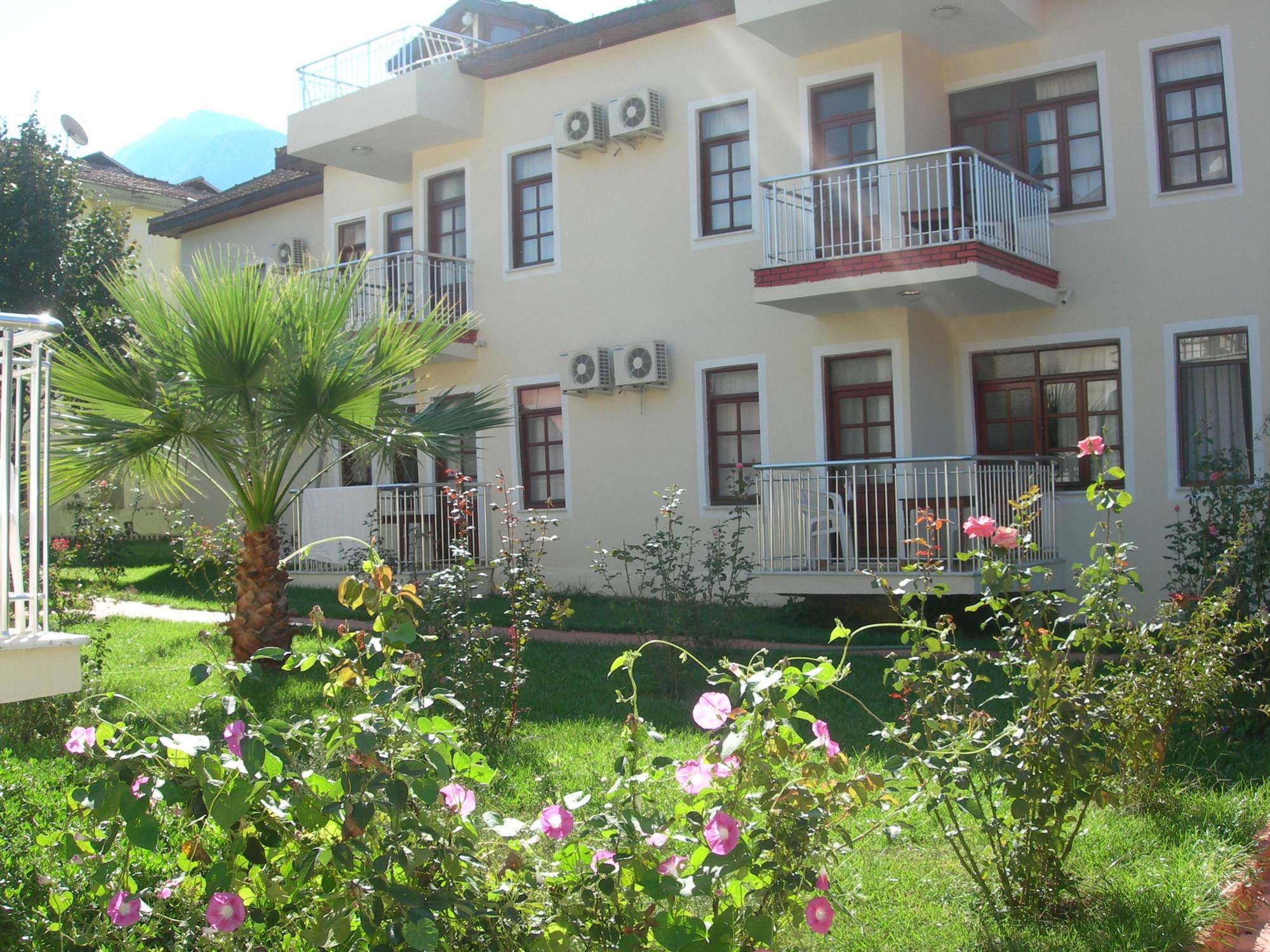 Tolay Hotel 3*